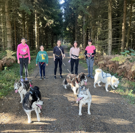 Randonnée canine Puy-de-Dôme (63)